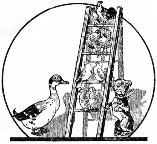 Screen Shot 2018-02-02 at 11.25.59 PM.png