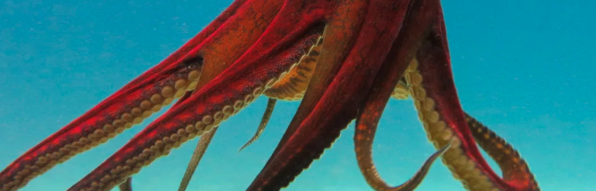 Screen Shot 2019-11-04 at 9.36.57 PM.png