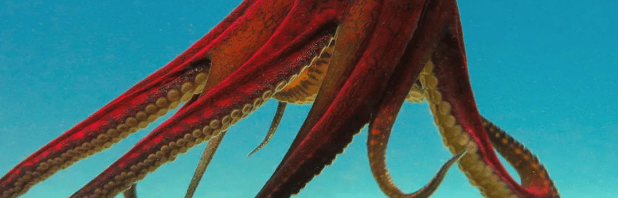 Screen Shot 2019-11-04 at 9.36.57 PM.png