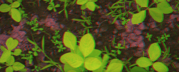 Screen Shot 2020-04-08 at 11.02.25 PM